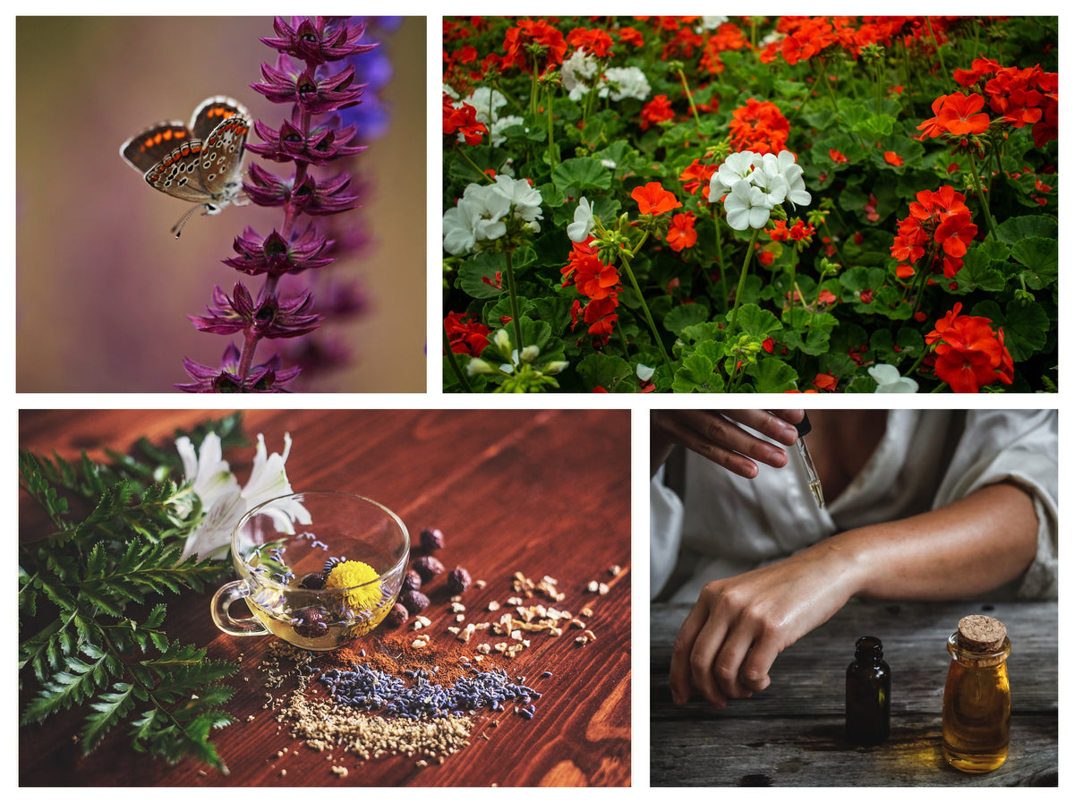 Essential Oils Gift Pack